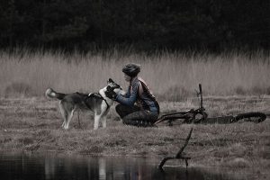 Hoe begin je met trainen?