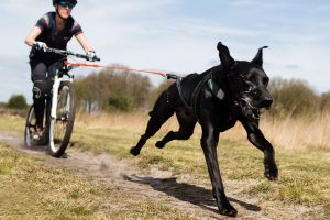 Nieuw online magazine