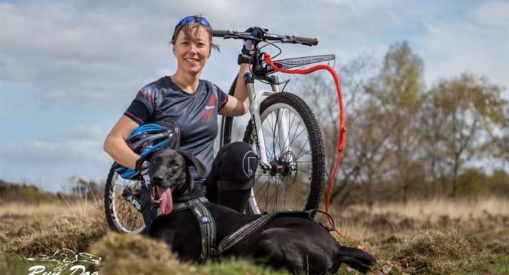 uitrusting steppen met hond