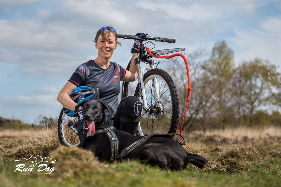 uitrusting steppen met hond